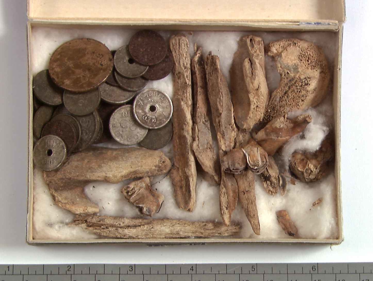 Offerplassfunn bestående av 27 norske og to svenske mynter, 10 fragmenter av bein og tre tenner.