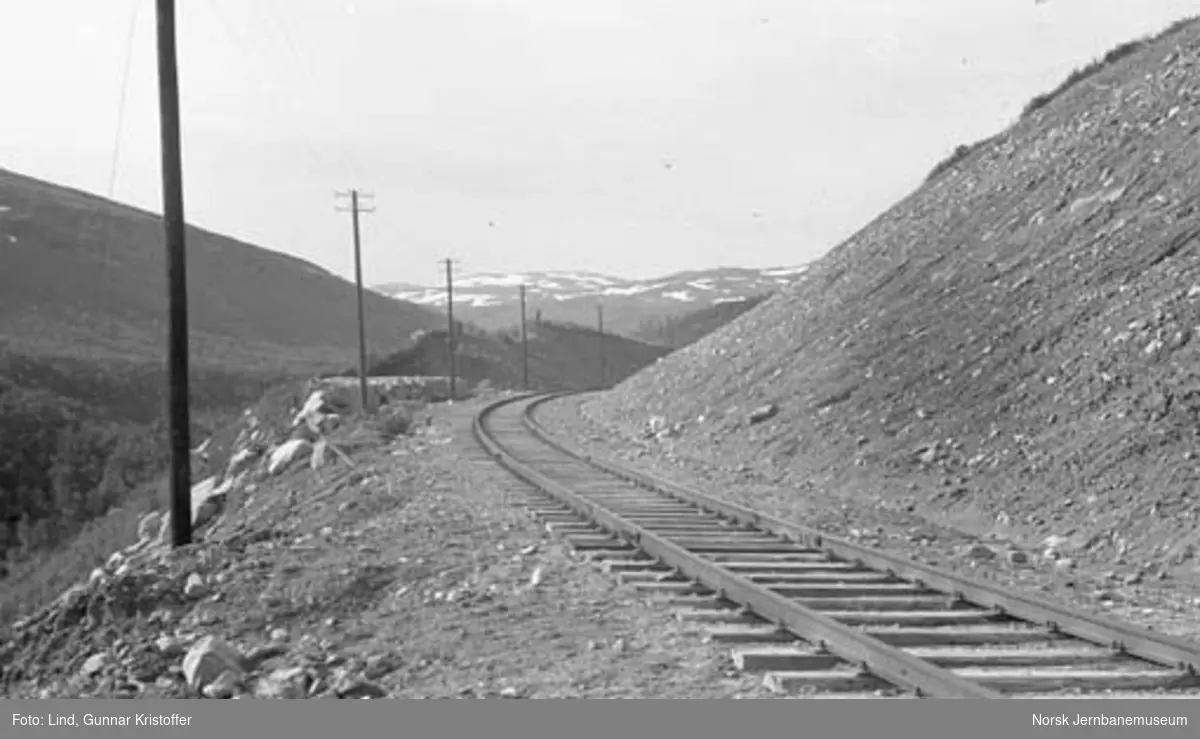 Nordlandsbaneanlegget : linjeparti ved Randalsvoll