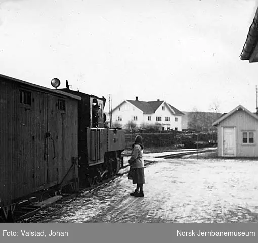 Toget på Lierfoss stasjon