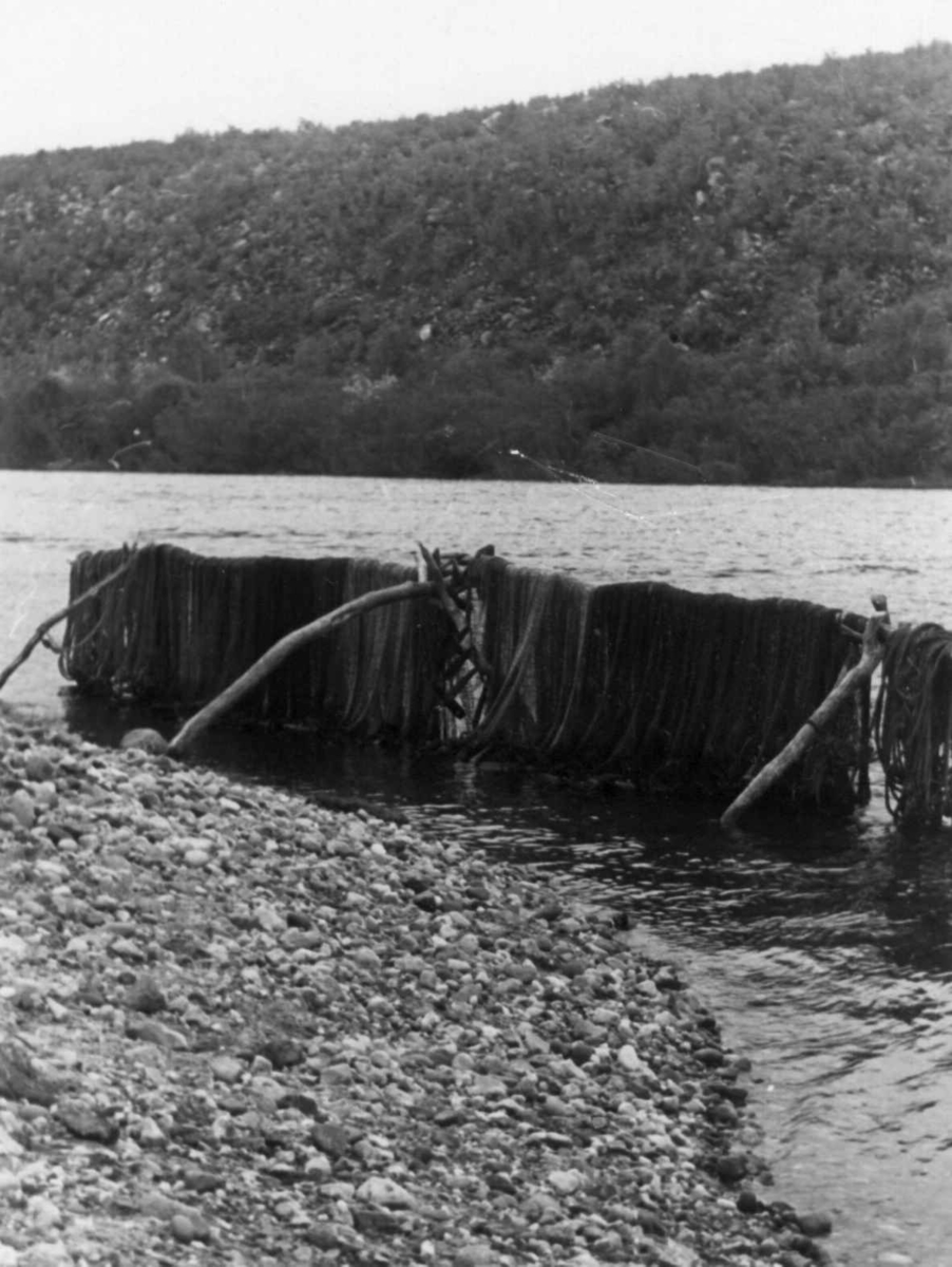 Opphengt not, fiskegarnet henger ned i vannet. Masi 1948.