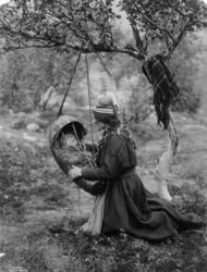 Samekone med barn i komse som henger i en gren. Lappland 191