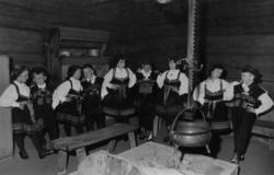 Opptreden av Norsk Folkemuseums barneleikarring.