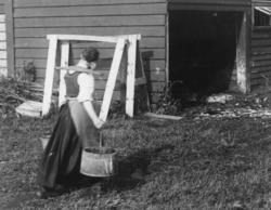 Vannbæring med vassåk