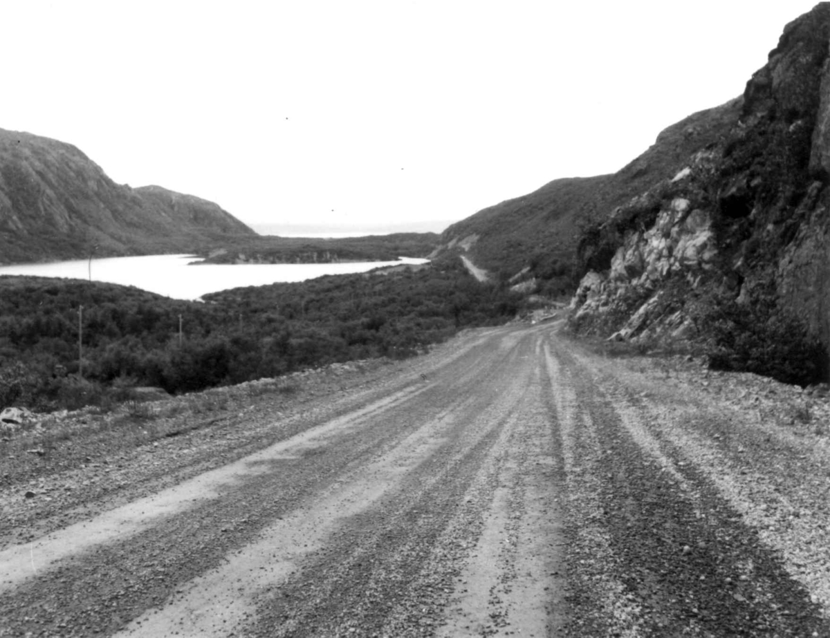 Gandvik sett nordover med veien i forgrunnen, 1968.