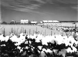 Karset, Vang, Hamar, Hedmark 1917. Bondegård med jorder, gra