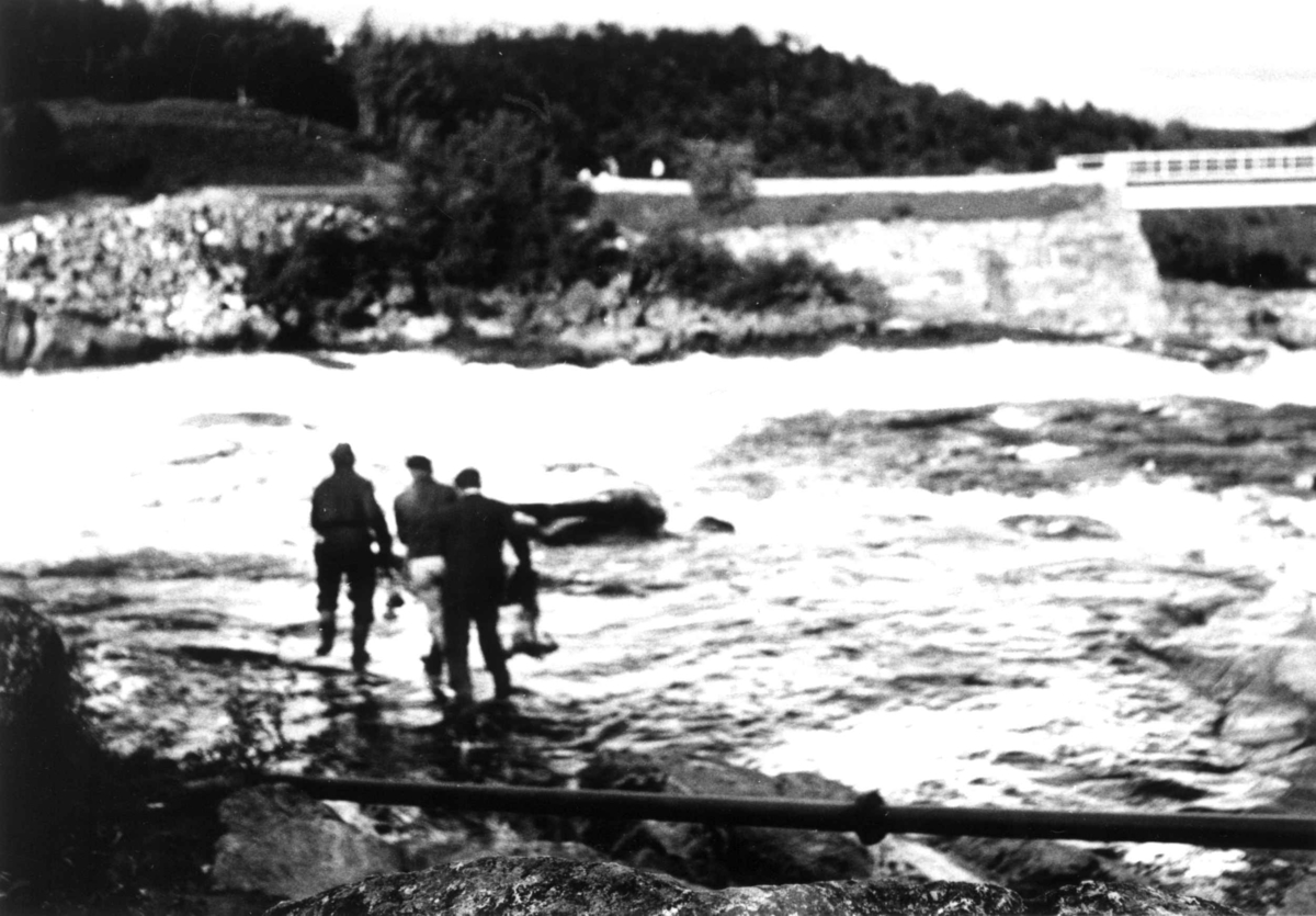 Kastenotfiske fra land i Skoltefossen. Noten skal til å kastes. I bakgrunnen en bro. Neiden 1948.