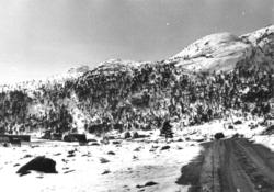 Oversiktsbilde med vei og bebyggelse fra Netland mot Bakke, 