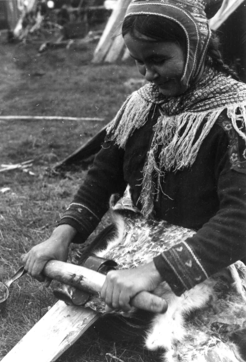 En kvinne bearbeider skinn. Olderdalen, Kåfjord, Troms 1947.