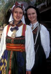 Verter i drakt fra telemarken.