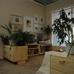 Hylleseksjon med plass til fjernsyn og platespiller. Illustr