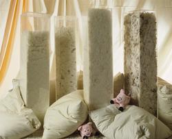 Fire forskjellige typer dun- og fjærblandinger .  Illustrasj