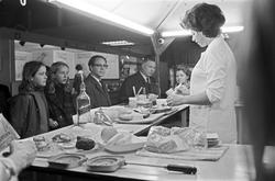 Serie. Utstillingen "Vår husholdning" på Sjølyst. På den pol