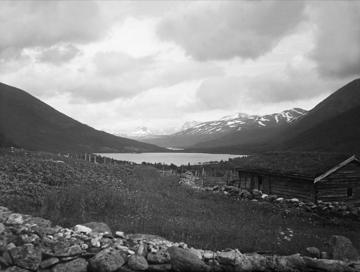 Storlidalen juli 1925. Utsikt mot Innerdalen. Seter i forgrunnen.