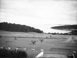 Utsikt fra Berger ant. mot Oslofjorden. Fotografert juli 192