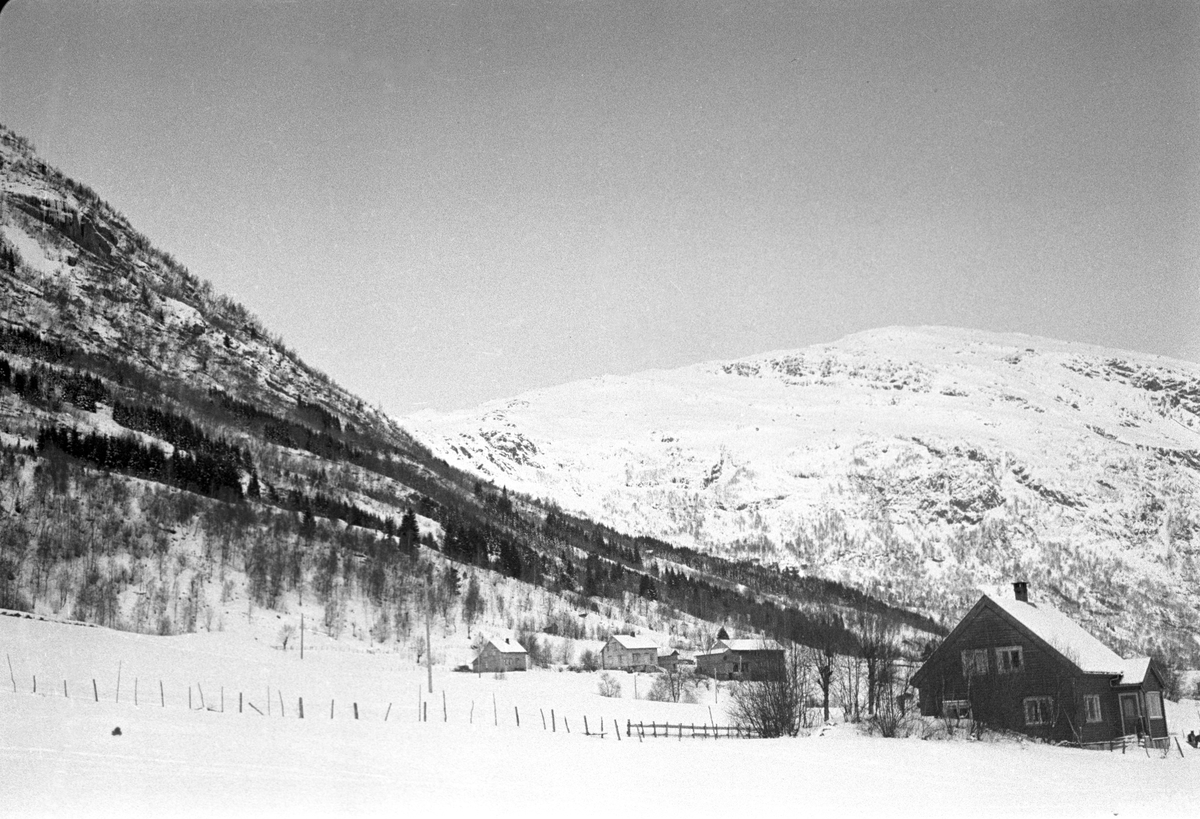 Fjellparti på Voss. Holmenkollrennene på Voss 1952. Fotograf Dagbladet