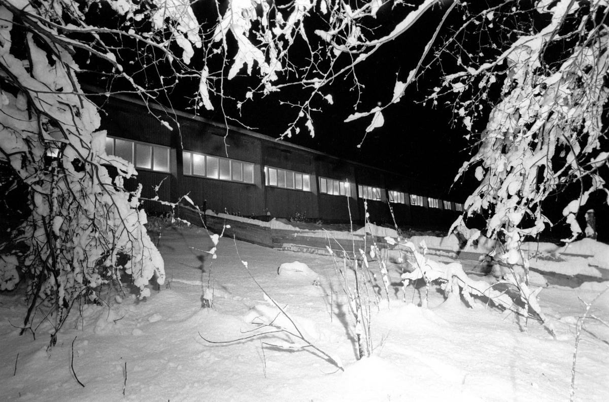 Fjøs i vinterskrud. Eksteriør av grisefjøset på Bleiker gård i Asker hvor grisene blir fóret med sjokolade  9. desember 1961.