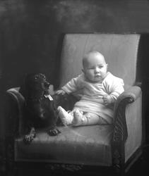 Portrett, spebarn og dachshund.