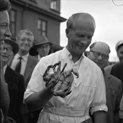 Salg av krabber, kjøpelystne i bakgrunnen, september 1958