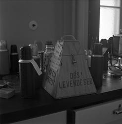 Bokser med levende dyresæd. Oslo før 1954. Veterinærhøyskole