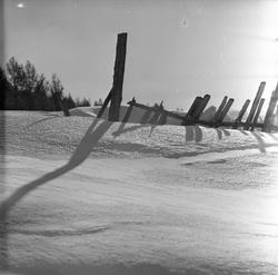 Fjellandskap ved Espedalen Turistheim, Gausdal, Oppland, 24.