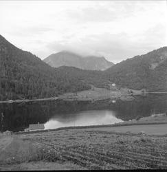 Romsdalen, Møre og Romsdal, 1954. Fjordlandskap, fjell og be
