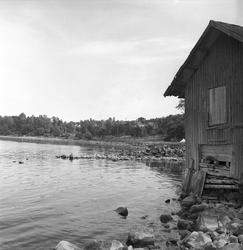 Åsgårdstrand, mai 1950, landskap.