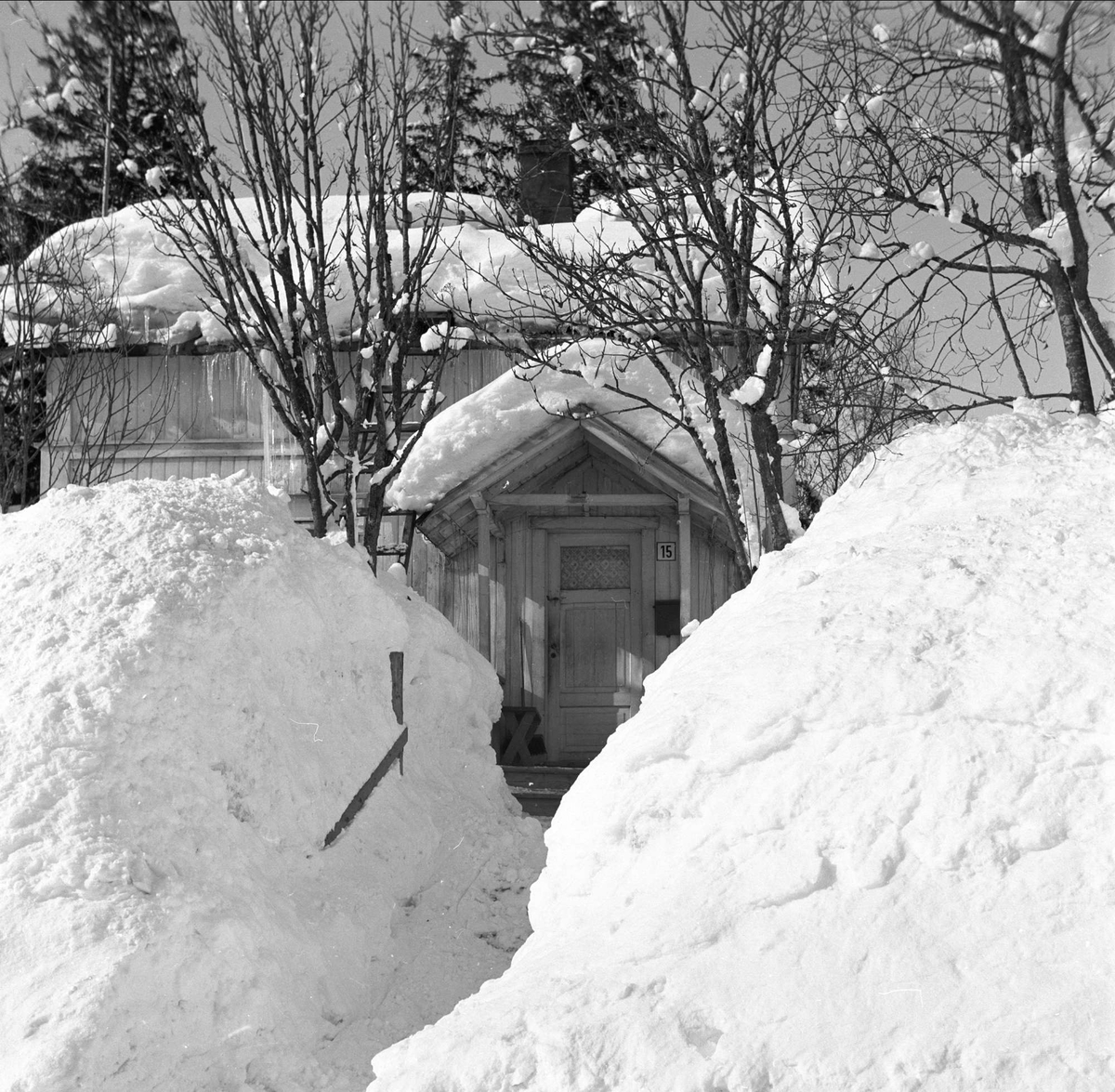 Mo, Rana, Nordland, mars 1955. Hus bak brøytekanter.