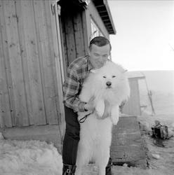 Øyer, Oppland, 25.03.1964. Mann og hund på Pellestova.