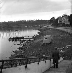 Frognerkilen, Oslo, 22.10.1959. Strandpromenaden. Strandsone