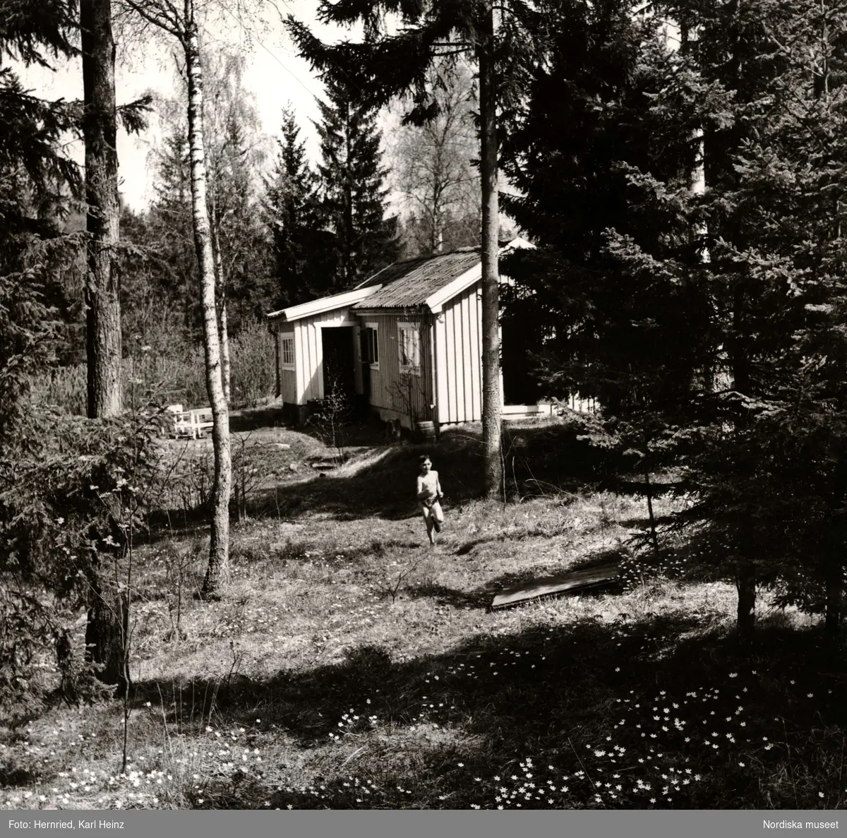 Skogsglänta med sommarstuga  i Margretelund, Åkersberga i Uppland. Pojke springer i gräs intill stuga