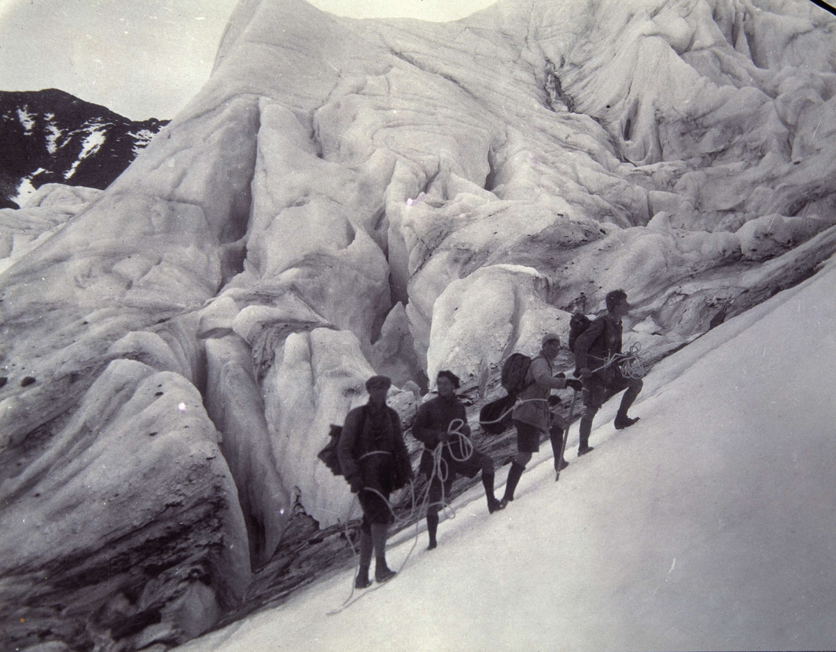 Bestigning av Kebnekaise. Fyra personer framför isvägg, sammankopplade med rep.