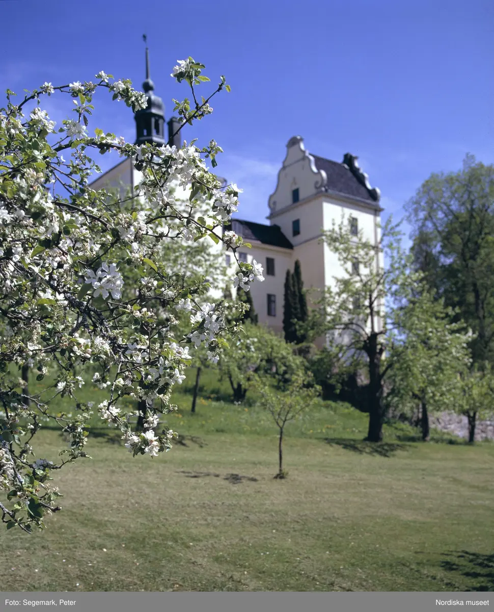 Tyresö slott från väster. I förgrunden blommande äppelträd. - Nordiska ...