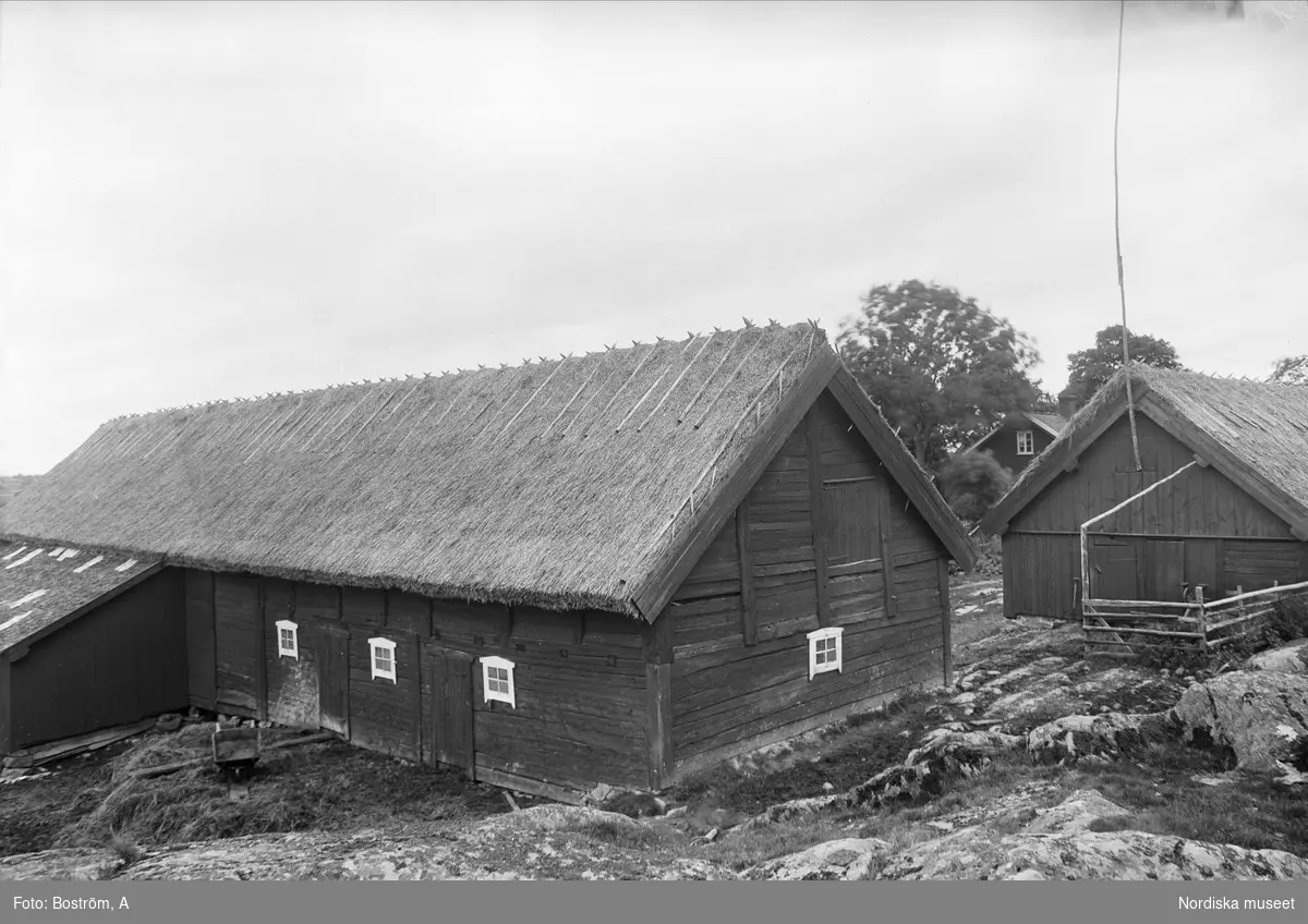 Nordiska museets etnologiska undersökning 1931. Ekebo Gästgivaregård i Otterstad socken, Kållands härad, Västergötland. Exteriör med ekonomibyggnader med halmtäckta tak.