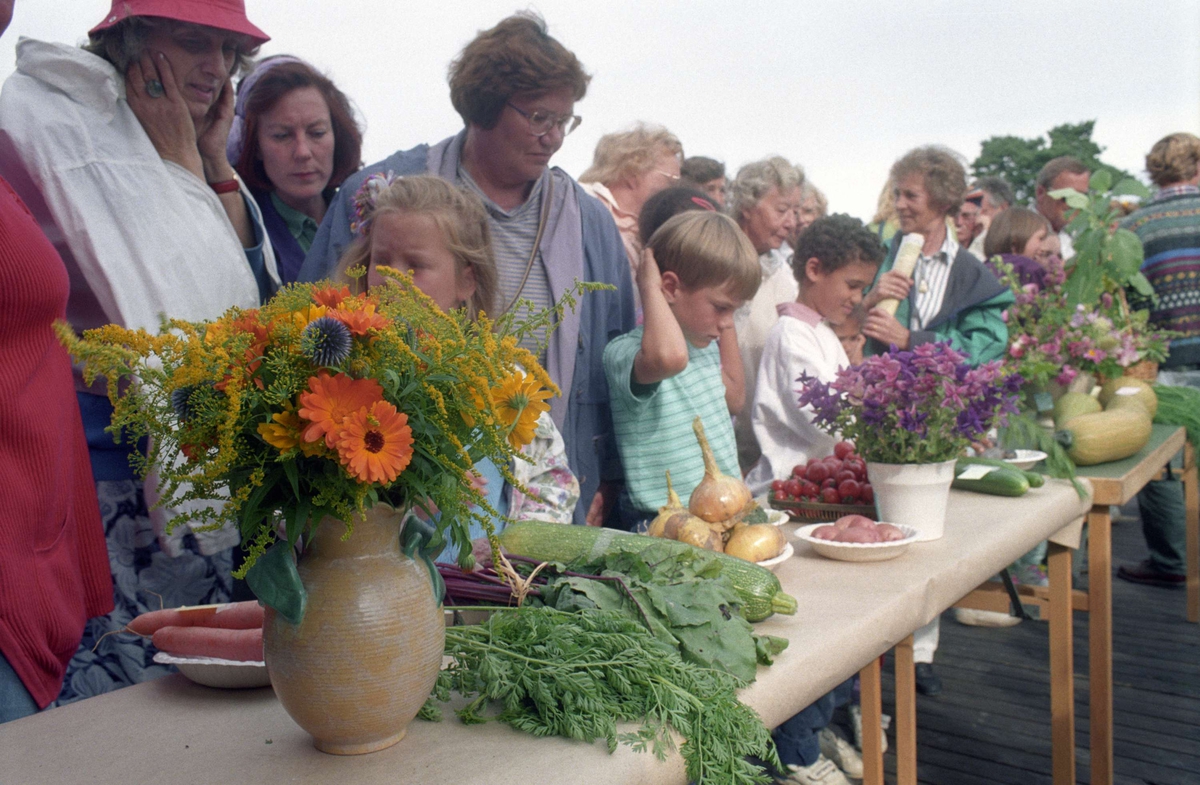 Besökare tittar på utställning av grönsaker och blommor på odlartävling, friluftsmuseet Disagården, Gamla Uppsala 1994