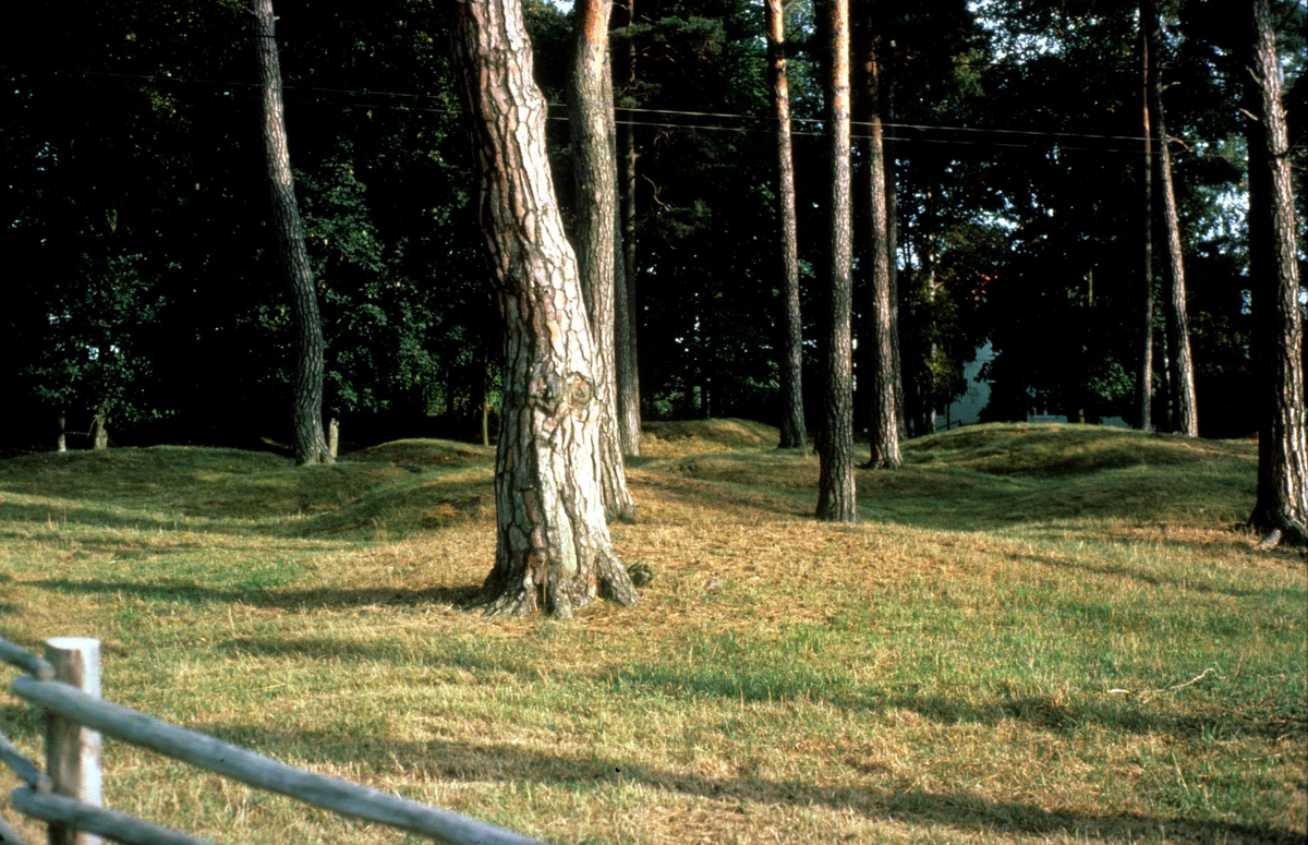 Gravfält i Rösa, Låssa socken, Uppland 1982
