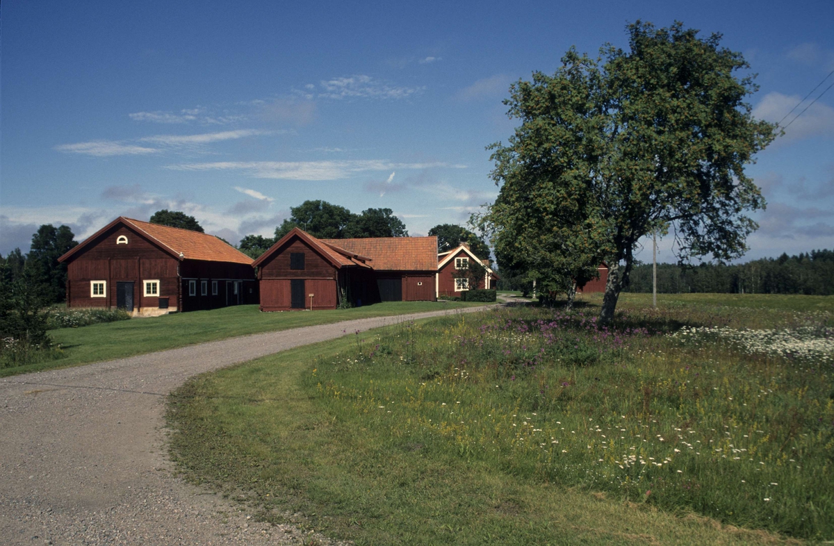 Gårdsmiljö, Malen, Hållnäs socken, Uppland 2000