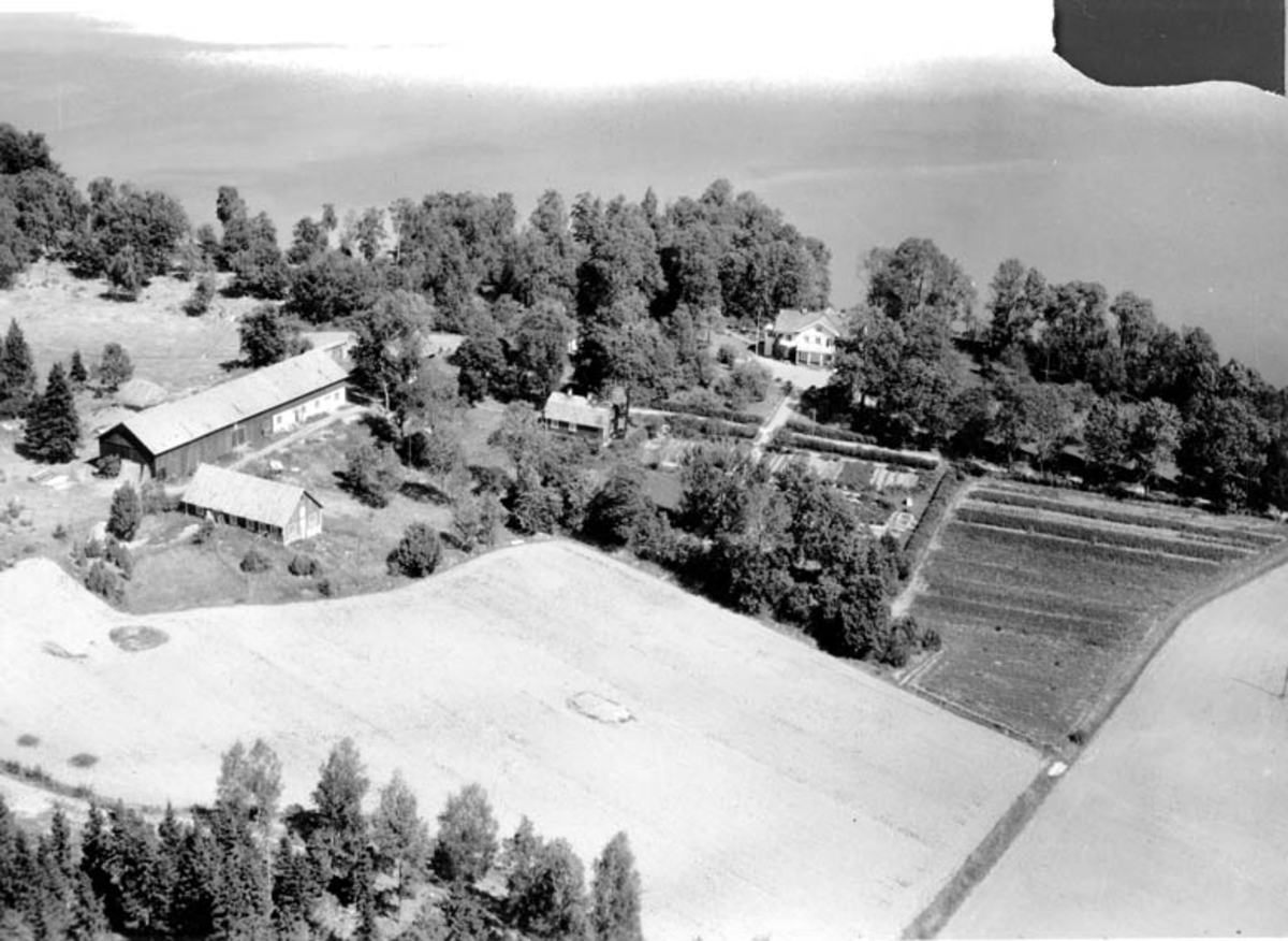 Flygfoto över Ledingenäs gård, Knivsta socken, Uppland 1947