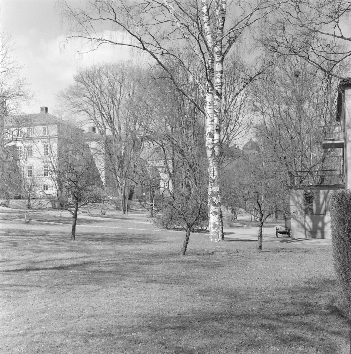 Park utanför Akademiska sjukhuset, avdelning B 29-36, Uppsala 1958