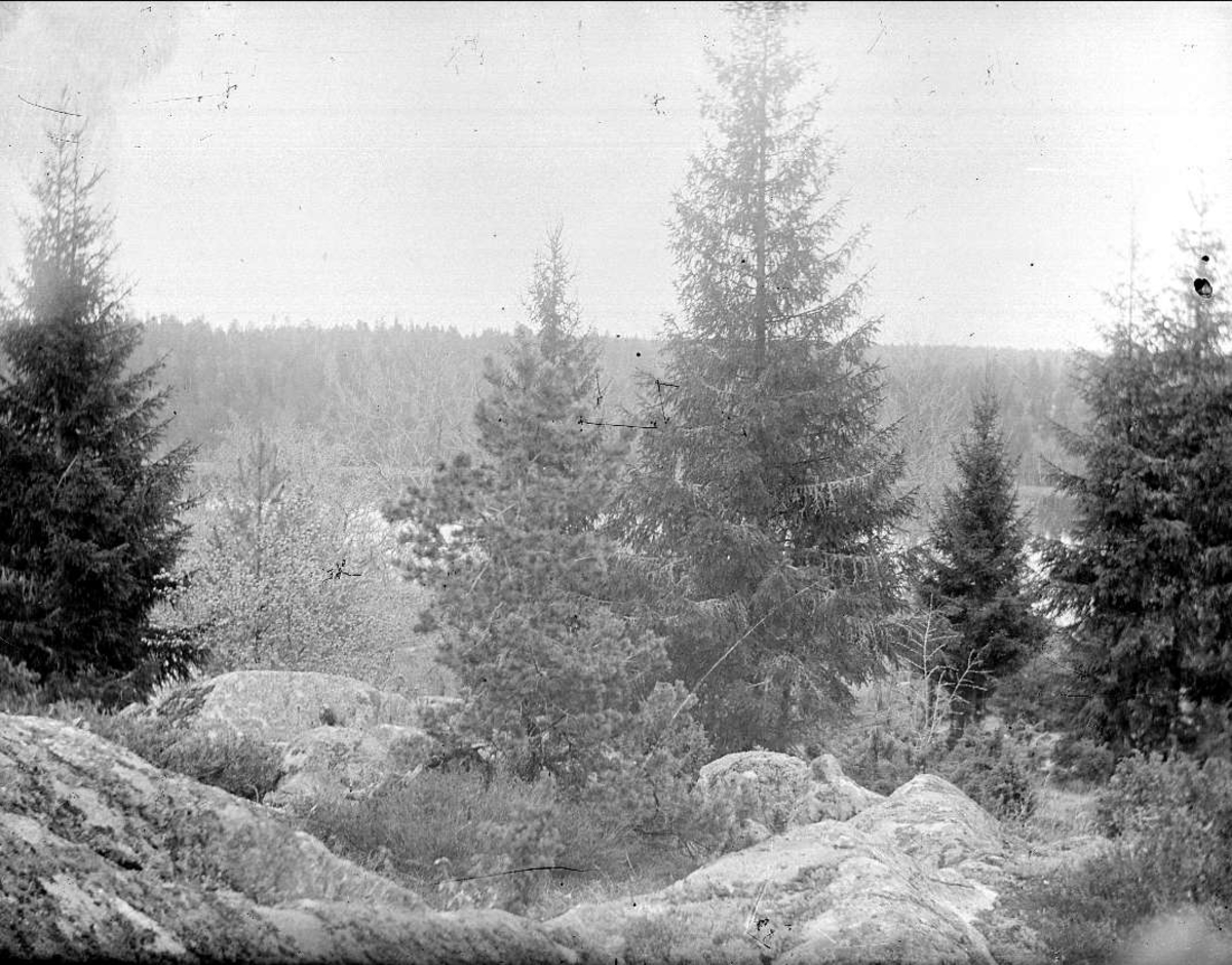 Skogsmark, Österåkers socken, Uppland 1912