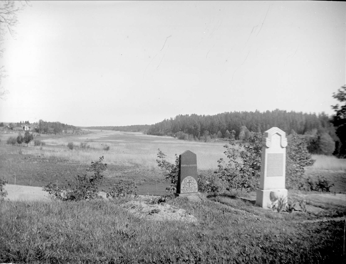 Landskapsvy med sjön Närdingen, Edsbro socken, Uppland 1934