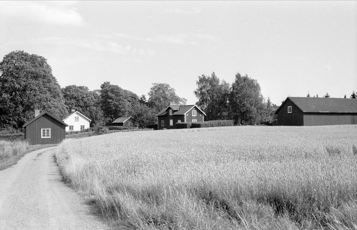 Vy över Ströby 2:7, Börje socken, Uppland 1983