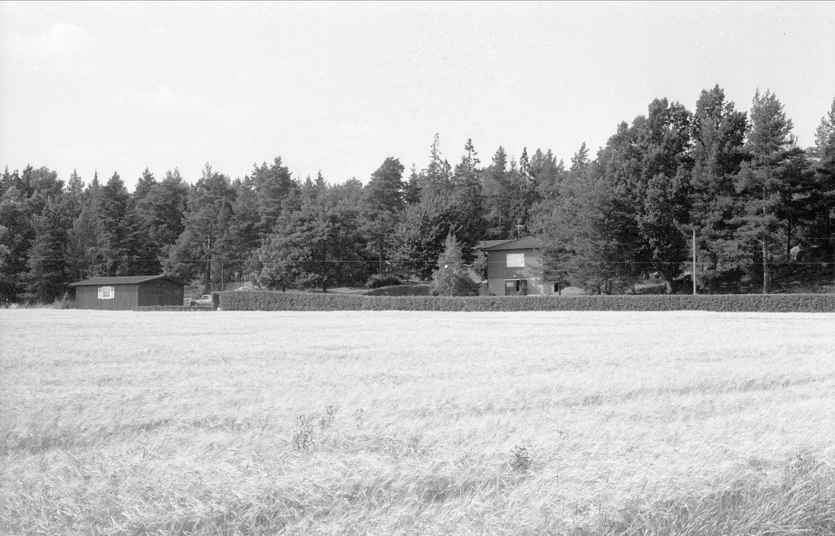 Vy över Alsta 1:24, Börje socken, Uppland 1983