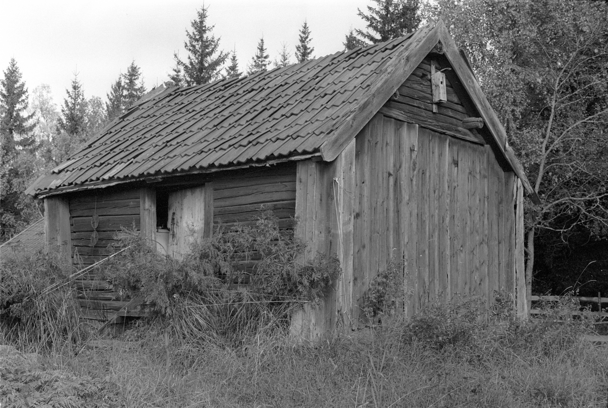 Bod med jordkällare, Strömhagen, Lena socken, Uppland 1978