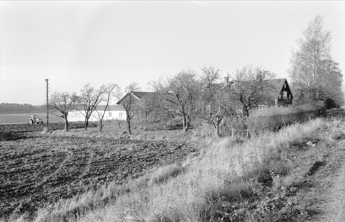 Vy över Husby, Gamla Uppsala 79:15, Gamla Uppsala socken, Uppland 1978