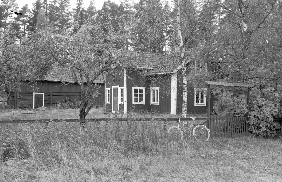 Bostadshus, Risbo, Tuna, Bälinge socken, Uppland 1983