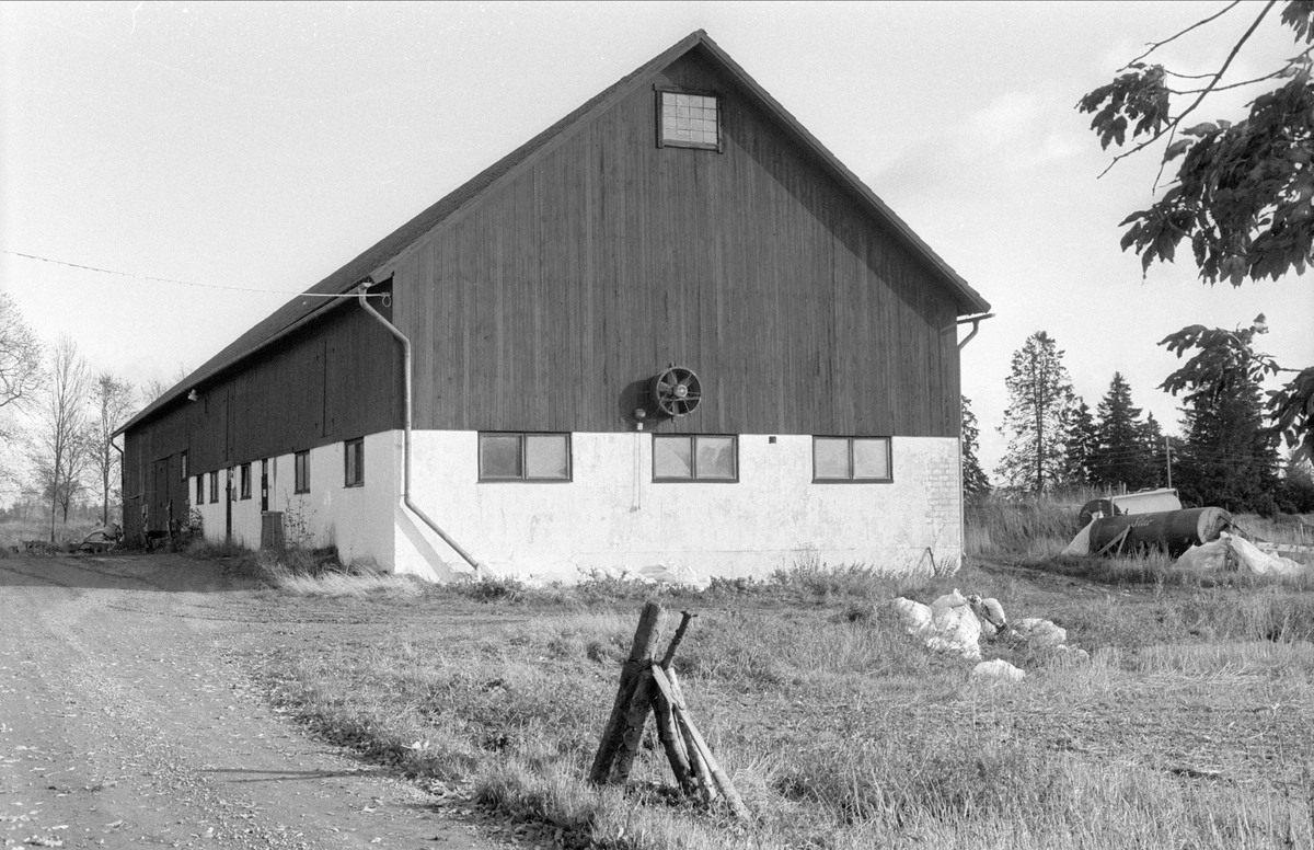 Ladugård och lada, Torvsätra 1:1, Bälinge socken, Uppland 1983
