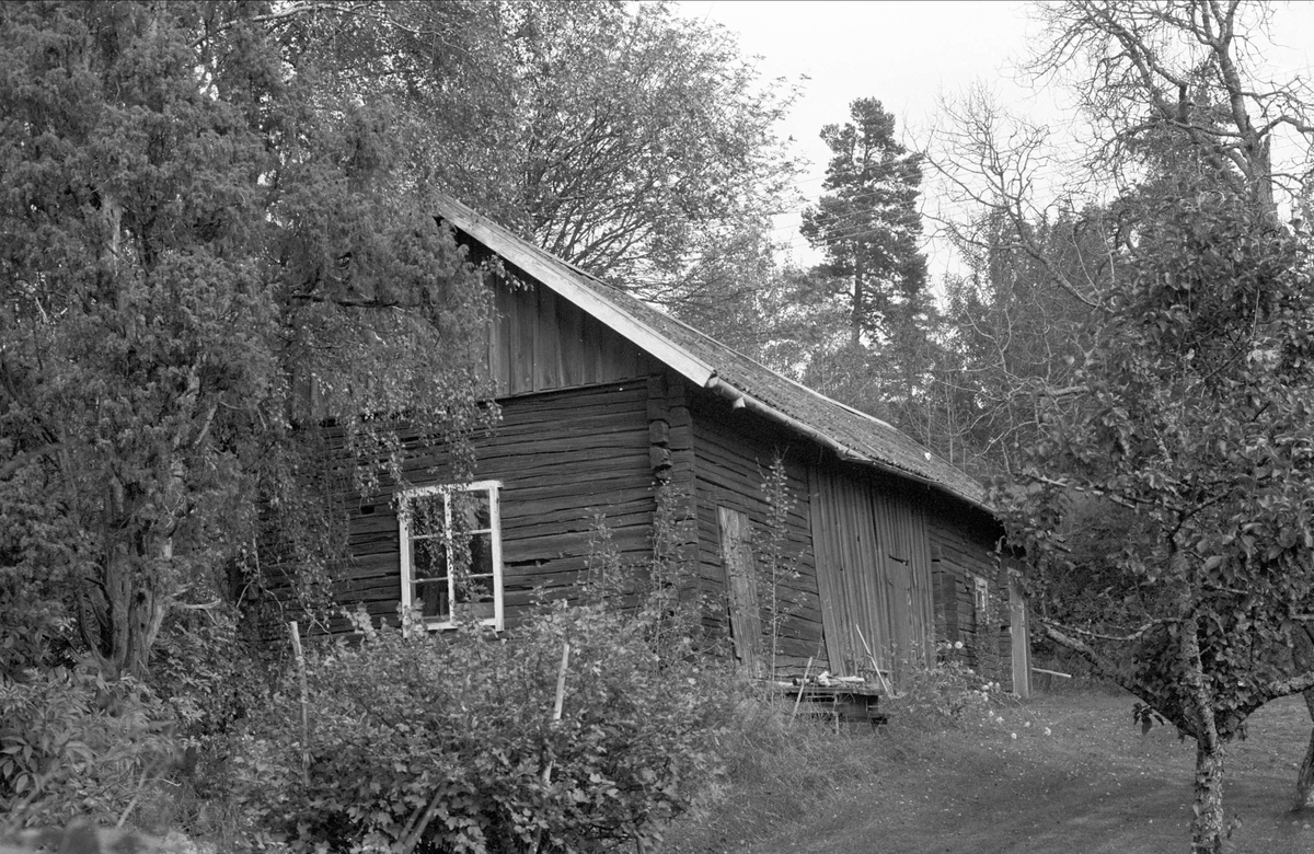 Uthuslänga, Lilla Väsby 1:13, Almunge socken, Uppland 1987
