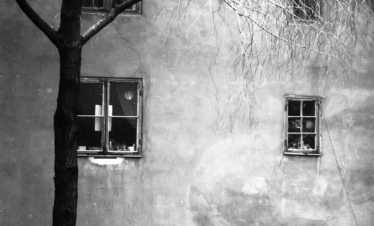 Fotokonst - fönster, Uppsala 1961