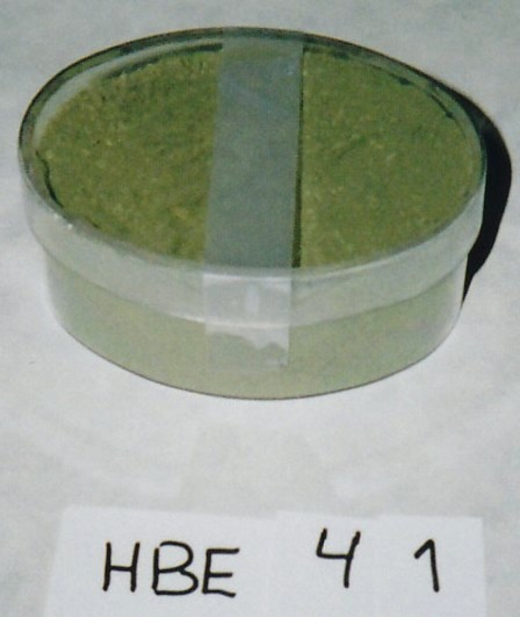 Form: Oval eske med lokk av gjennomsiktig plastikk som inneholder sinkholdig slam
