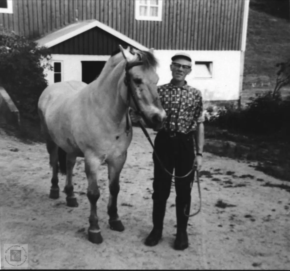 Bonden, Olav Finsdal med hesten Blakken, Øyslebø.